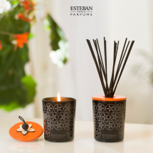 ESTEBAN-NEROLIE-Bougie-deco-parfumee-rechargeable-Diffuseur-deco
